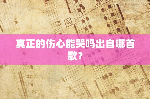真正的伤心能哭吗出自哪首歌？