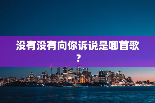 没有没有向你诉说是哪首歌？