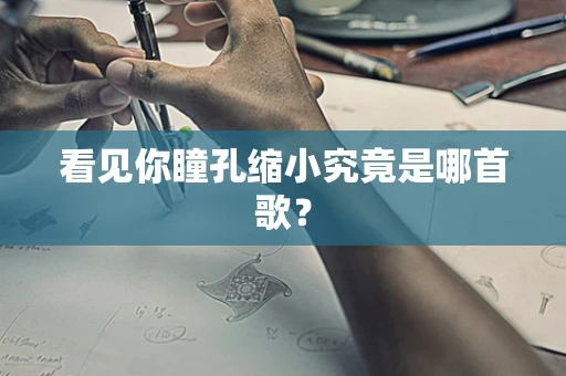 看见你瞳孔缩小究竟是哪首歌？
