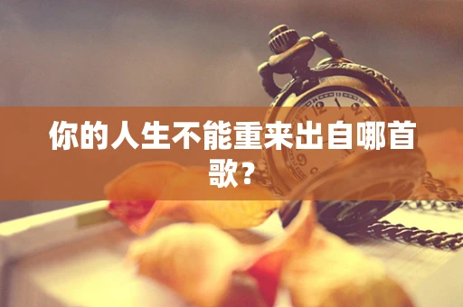 你的人生不能重来出自哪首歌？