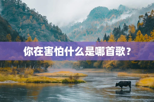 你在害怕什么是哪首歌？