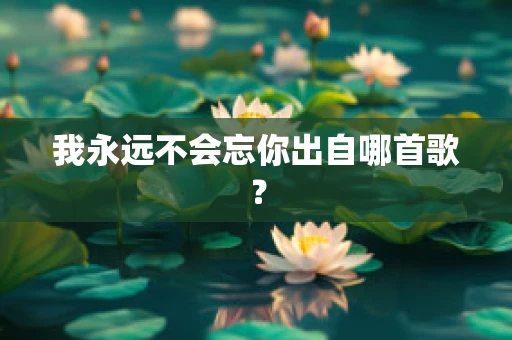 我永远不会忘你出自哪首歌？