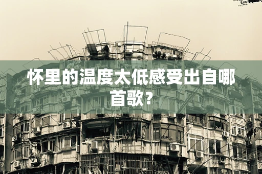 怀里的温度太低感受出自哪首歌？