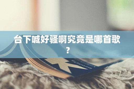台下喊好骚啊究竟是哪首歌？