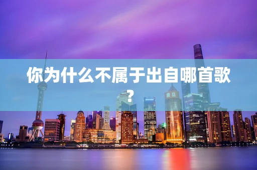 你为什么不属于出自哪首歌？