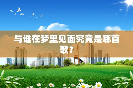 与谁在梦里见面究竟是哪首歌？