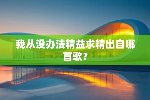我从没办法精益求精出自哪首歌？