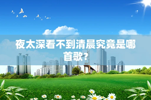夜太深看不到清晨究竟是哪首歌？