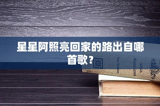 星星阿照亮回家的路出自哪首歌？