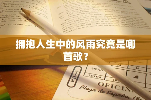 拥抱人生中的风雨究竟是哪首歌？