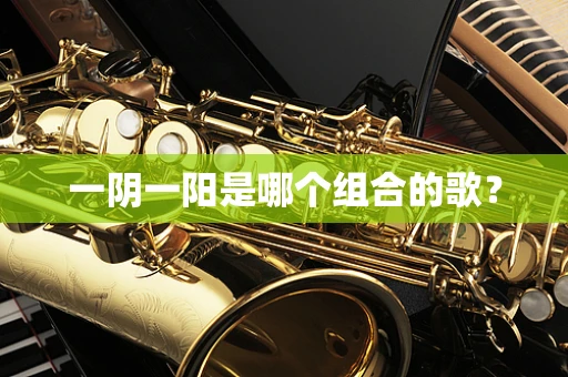 一阴一阳是哪个组合的歌？