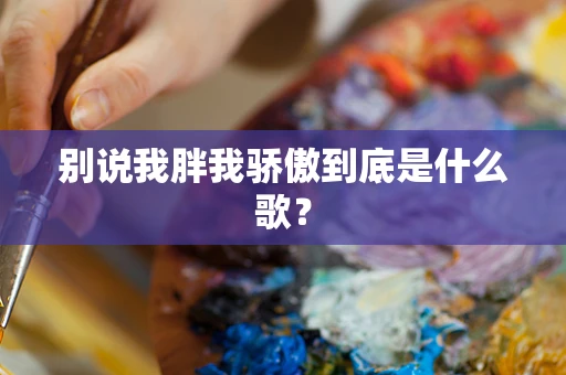 别说我胖我骄傲到底是什么歌？