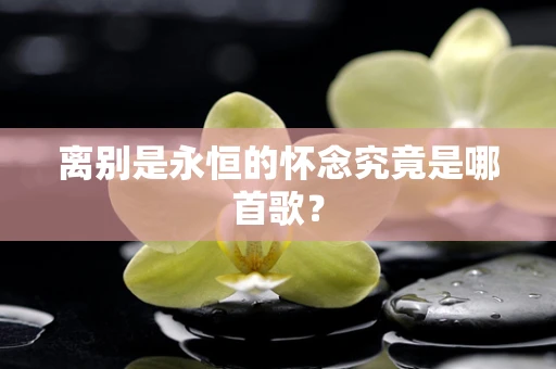 离别是永恒的怀念究竟是哪首歌？