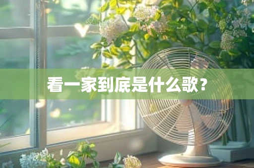 看一家到底是什么歌？