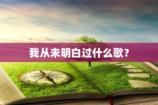 我从未明白过什么歌？
