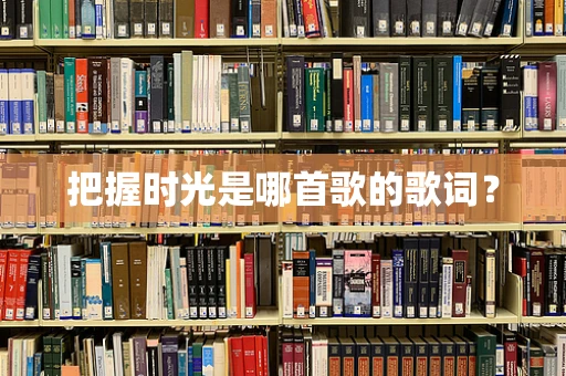 把握时光是哪首歌的歌词？