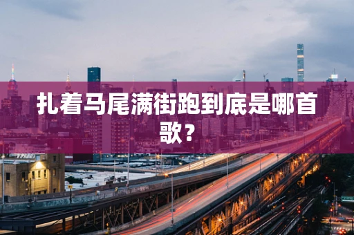 扎着马尾满街跑到底是哪首歌？