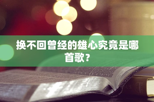 换不回曾经的雄心究竟是哪首歌？
