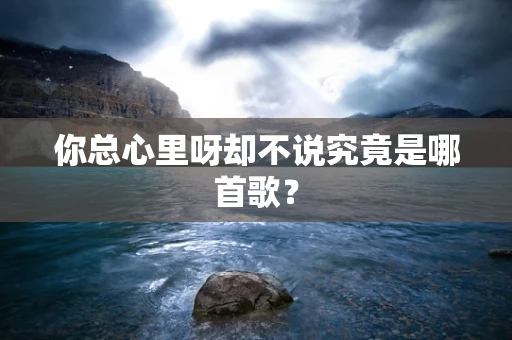 你总心里呀却不说究竟是哪首歌？