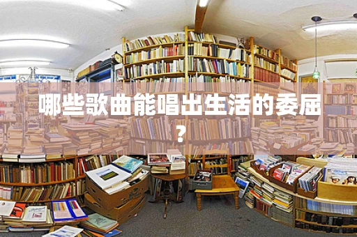 哪些歌曲能唱出生活的委屈？