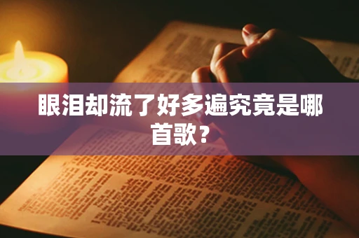 眼泪却流了好多遍究竟是哪首歌？