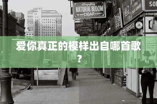 爱你真正的模样出自哪首歌？