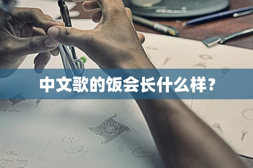 中文歌的饭会长什么样？