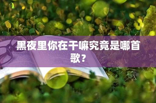 黑夜里你在干嘛究竟是哪首歌？