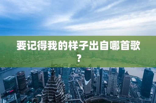 要记得我的样子出自哪首歌？