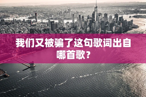 我们又被骗了这句歌词出自哪首歌？