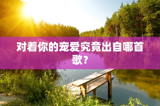 对着你的宠爱究竟出自哪首歌？