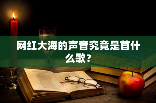 网红大海的声音究竟是首什么歌？