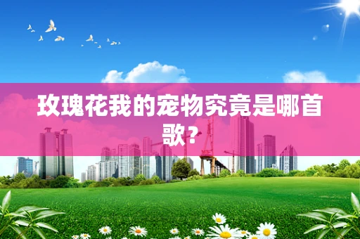 玫瑰花我的宠物究竟是哪首歌？