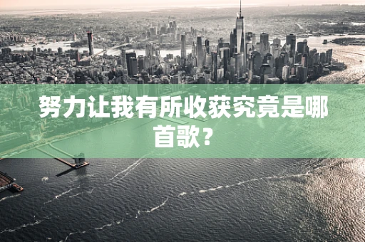 努力让我有所收获究竟是哪首歌？