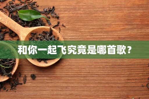 和你一起飞究竟是哪首歌？