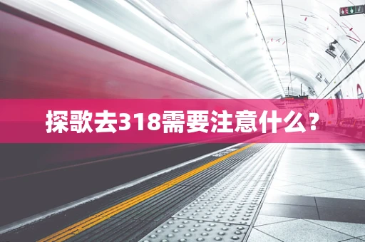 探歌去318需要注意什么？