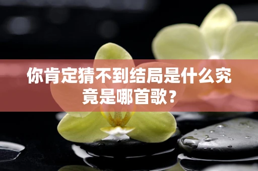 你肯定猜不到结局是什么究竟是哪首歌？
