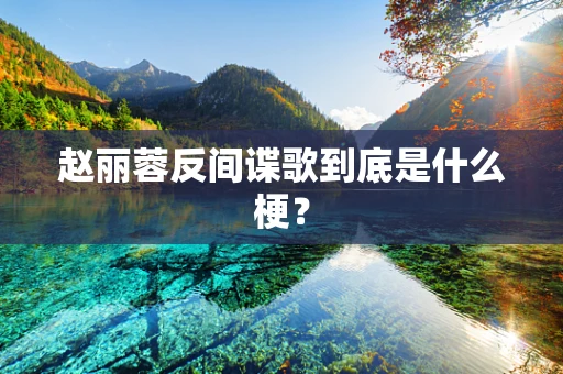 赵丽蓉反间谍歌到底是什么梗？