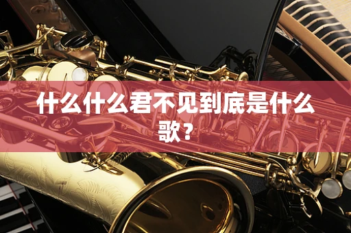 什么什么君不见到底是什么歌？