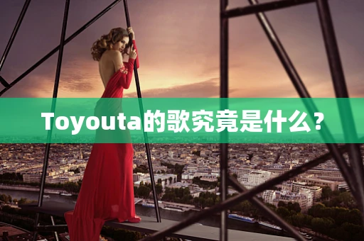 Toyouta的歌究竟是什么？