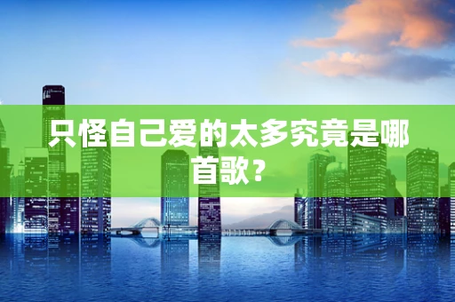 只怪自己爱的太多究竟是哪首歌？