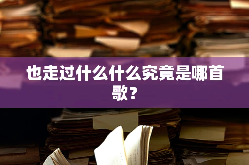 也走过什么什么究竟是哪首歌？