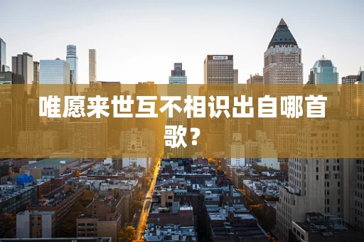 唯愿来世互不相识出自哪首歌？