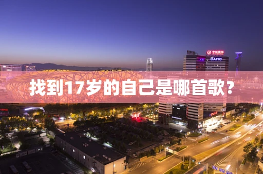 找到17岁的自己是哪首歌？