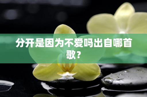 分开是因为不爱吗出自哪首歌？