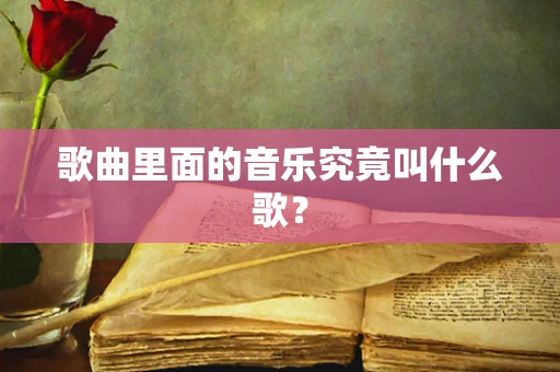 歌曲里面的音乐究竟叫什么歌？