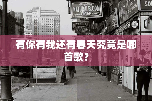 有你有我还有春天究竟是哪首歌？