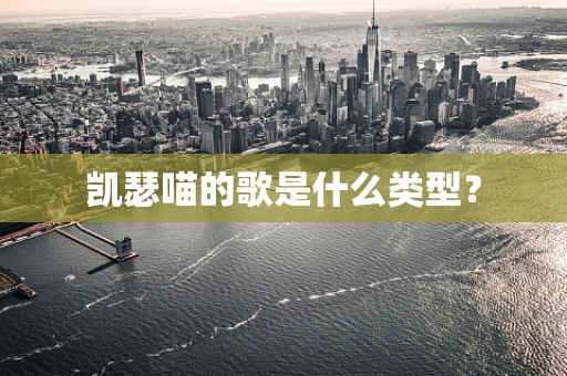 凯瑟喵的歌是什么类型？