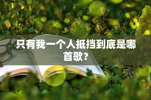 只有我一个人抵挡到底是哪首歌？