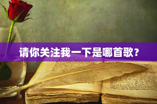 请你关注我一下是哪首歌？